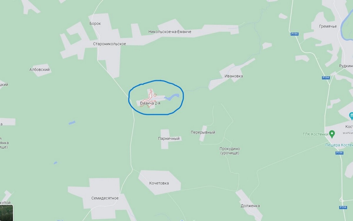    Африканская чума свиней добралась до Хохольского района Воронежской областиИрина Коротких