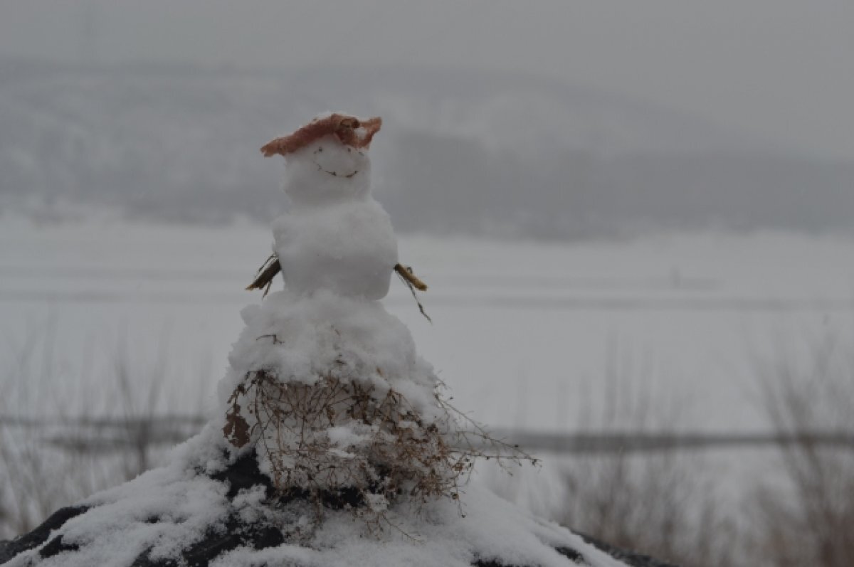    В Барнауле прогнозируют мокрый снег с 31 октября по 2 ноября