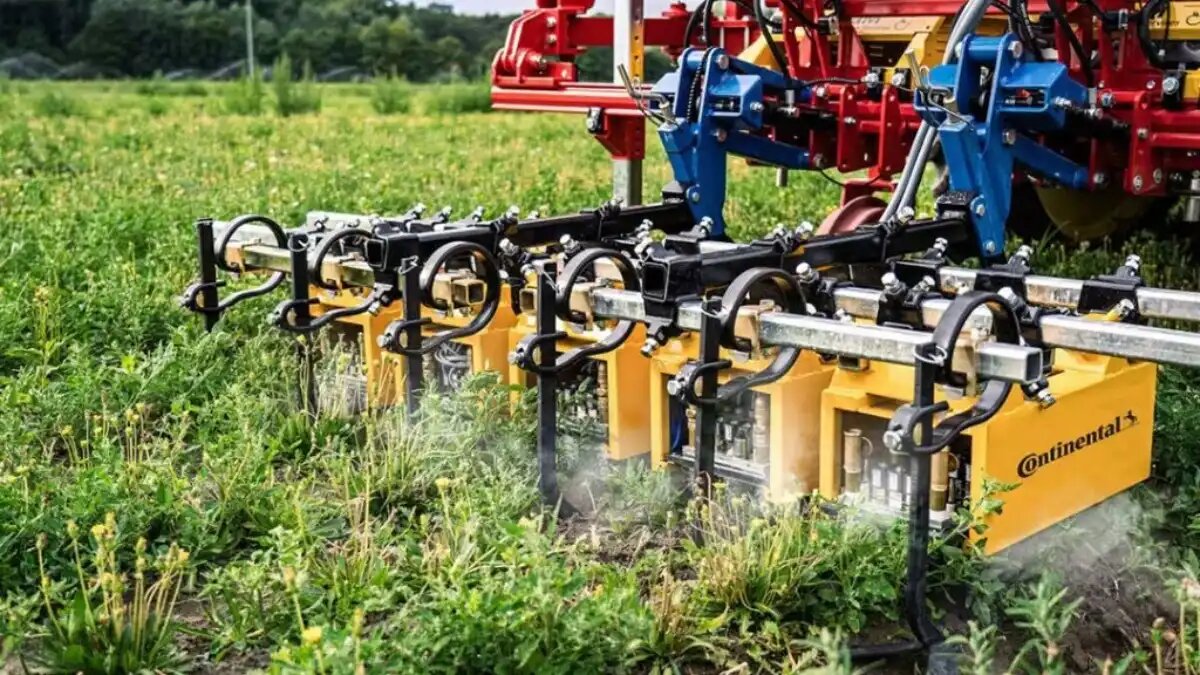 Фото: Continental / trekkeronline.nl Сельхозмашина Continental для безхимической борьбы с сорняками