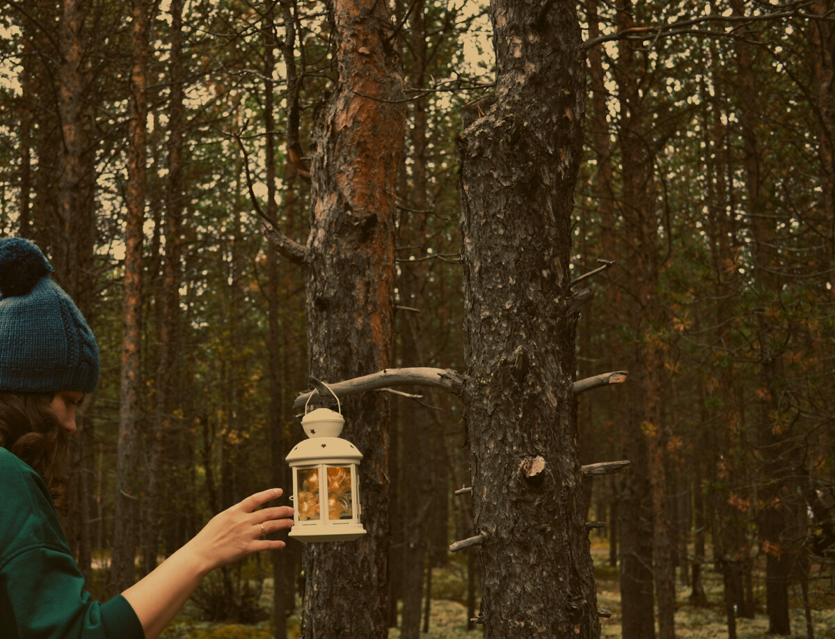 Все фото\видео мои