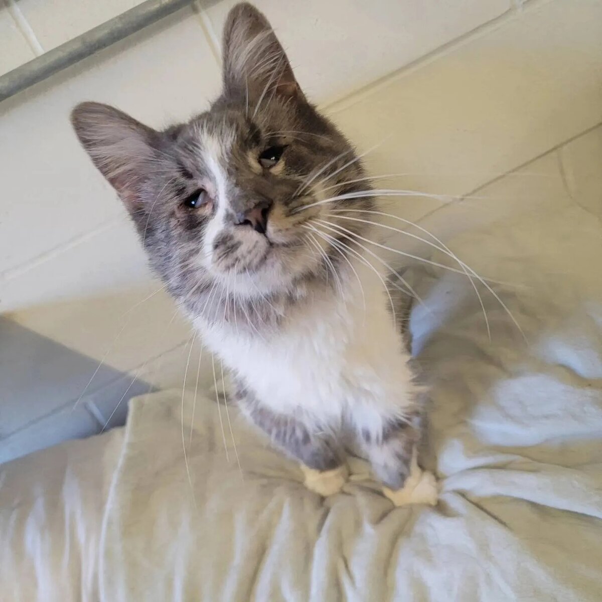 Источник: соцсети