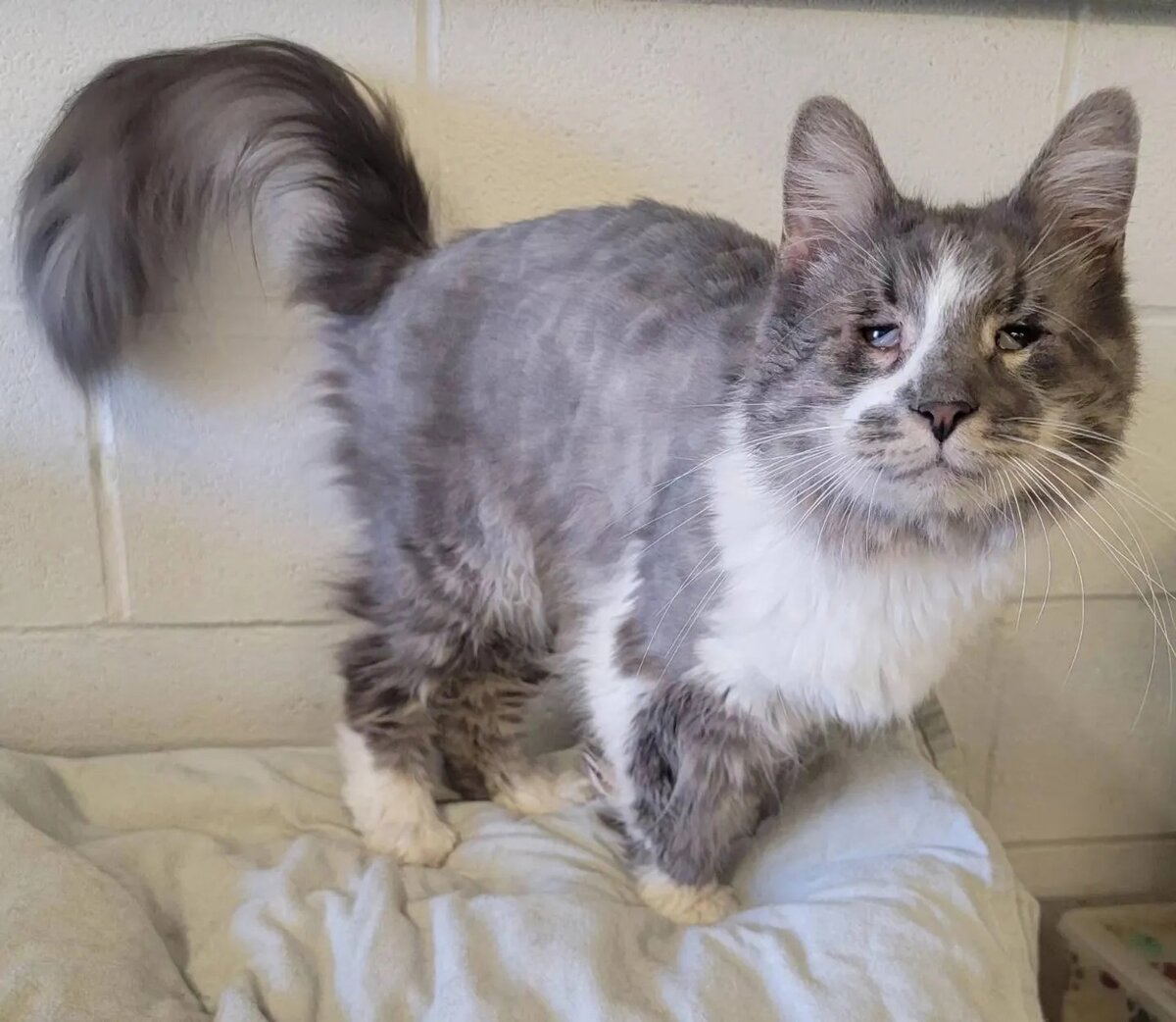 Источник: соцсети