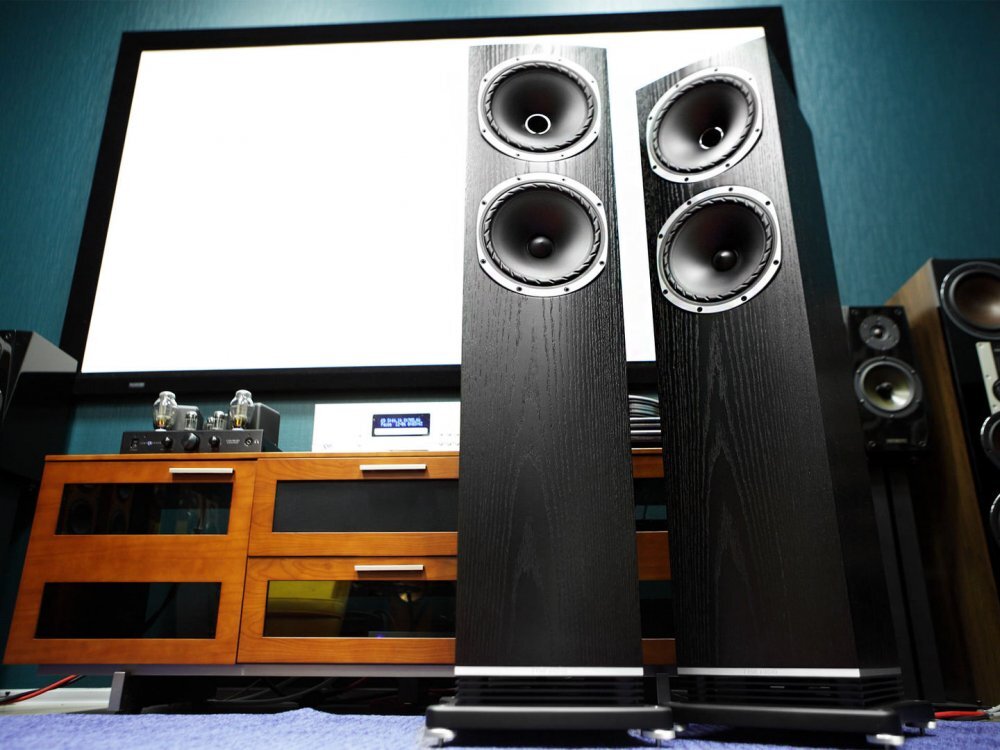 Fyne Audio F502
