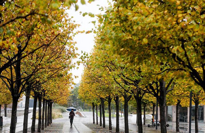    Артур Новосильцев/АГН «Москва»