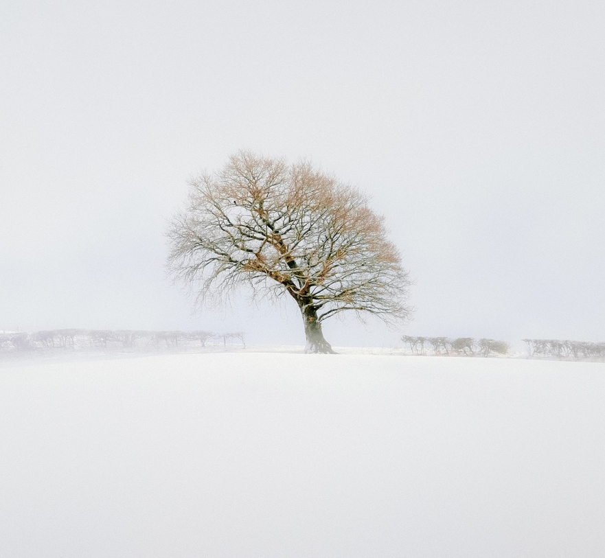     Aaron Northwood, lpoty.co.uk