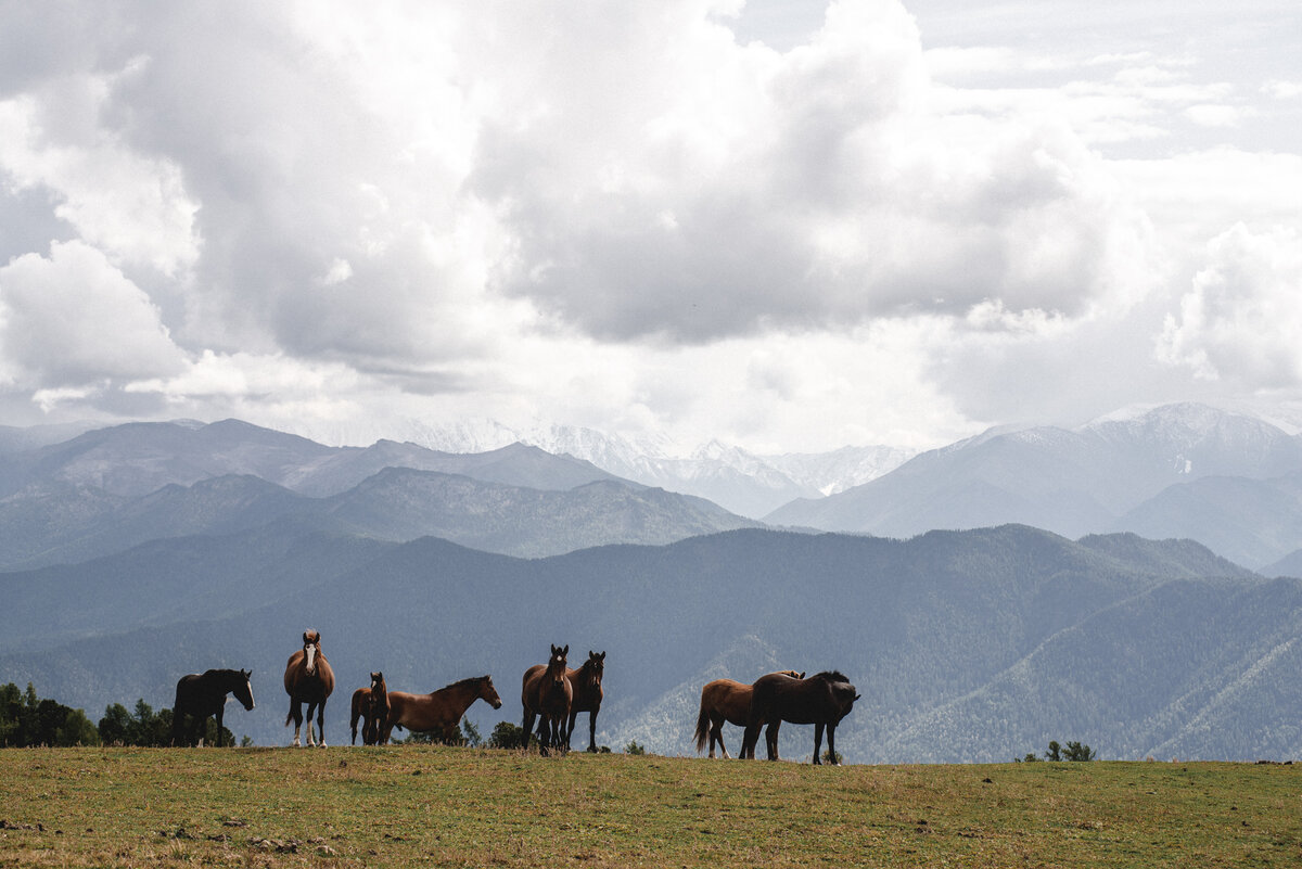 Большая Катунская Тропа. Сентябрь 2023 года. Фото с маршрута.