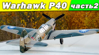 Самолет Volantex RC P40 Warhawk. Часть 2