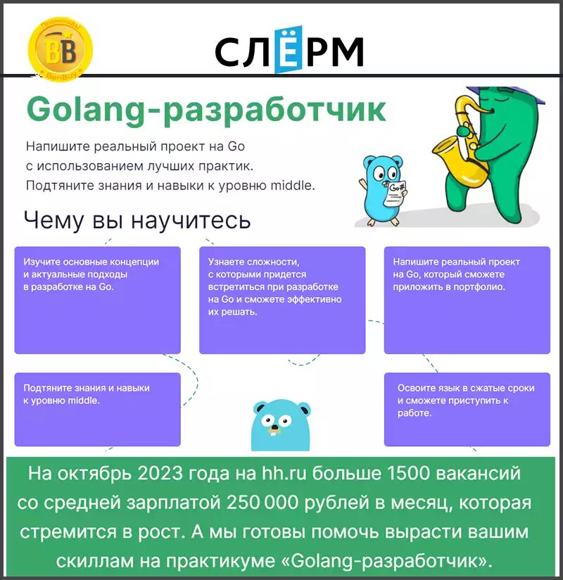 Go разработчик курсы. Go разработчик. разработчик go реклама. ozon go разработчик.