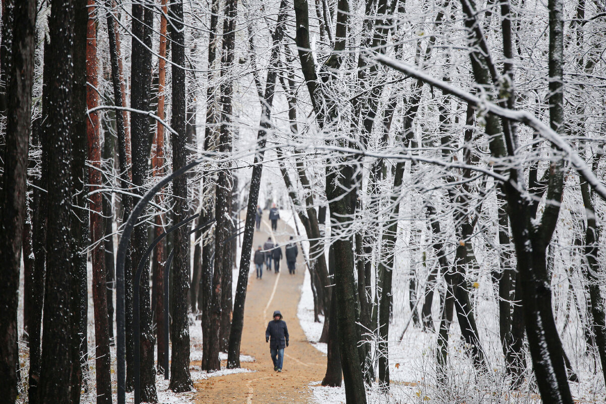 Фото: Тимур Шарипкулов