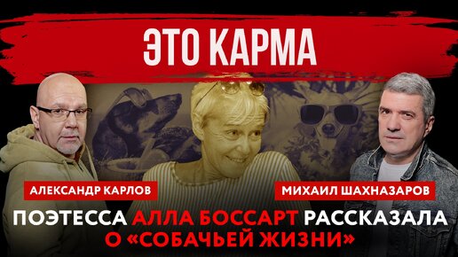 Это карма. Поэтесса Алла Боссарт рассказала о «собачьей жизни» | Михаил Шахназаров и Александр Карлов