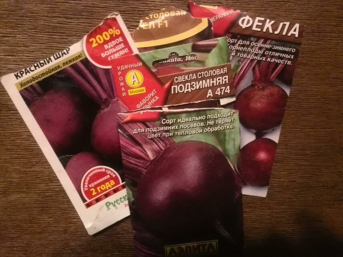 Сорта свеклы для посева под зиму.