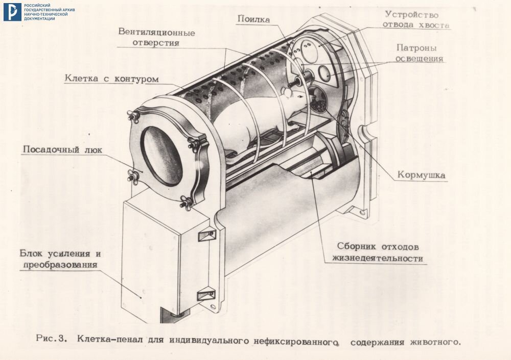 Клетка-пенал для индивидуального нефиксированного содержания животного. РГАНТД. Ф. 213. Оп. 5-1. Д. 96. Л. 7.