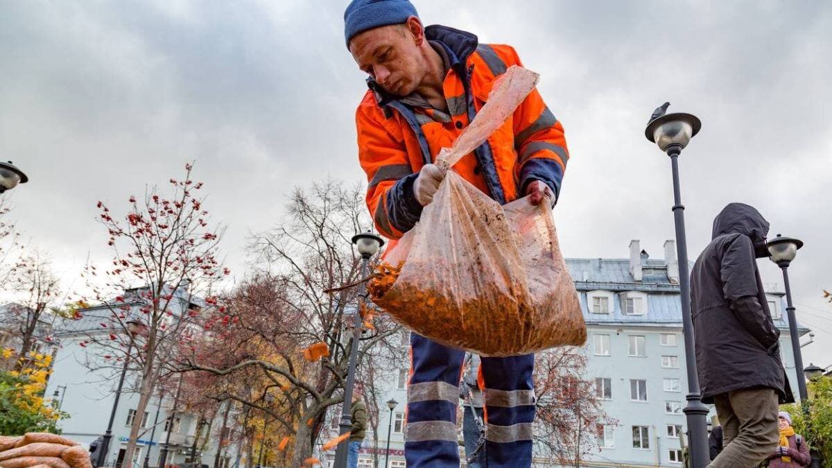    Фото: Telegram / Городское хозяйство Москвы