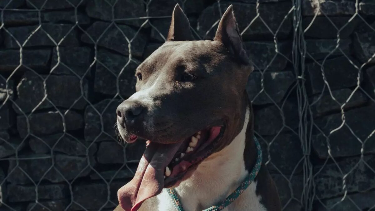     Сегодня в Черногорске состоялось заседание административной комиссии. Оштрафовали 14 человек, сообщает городская мэрия.