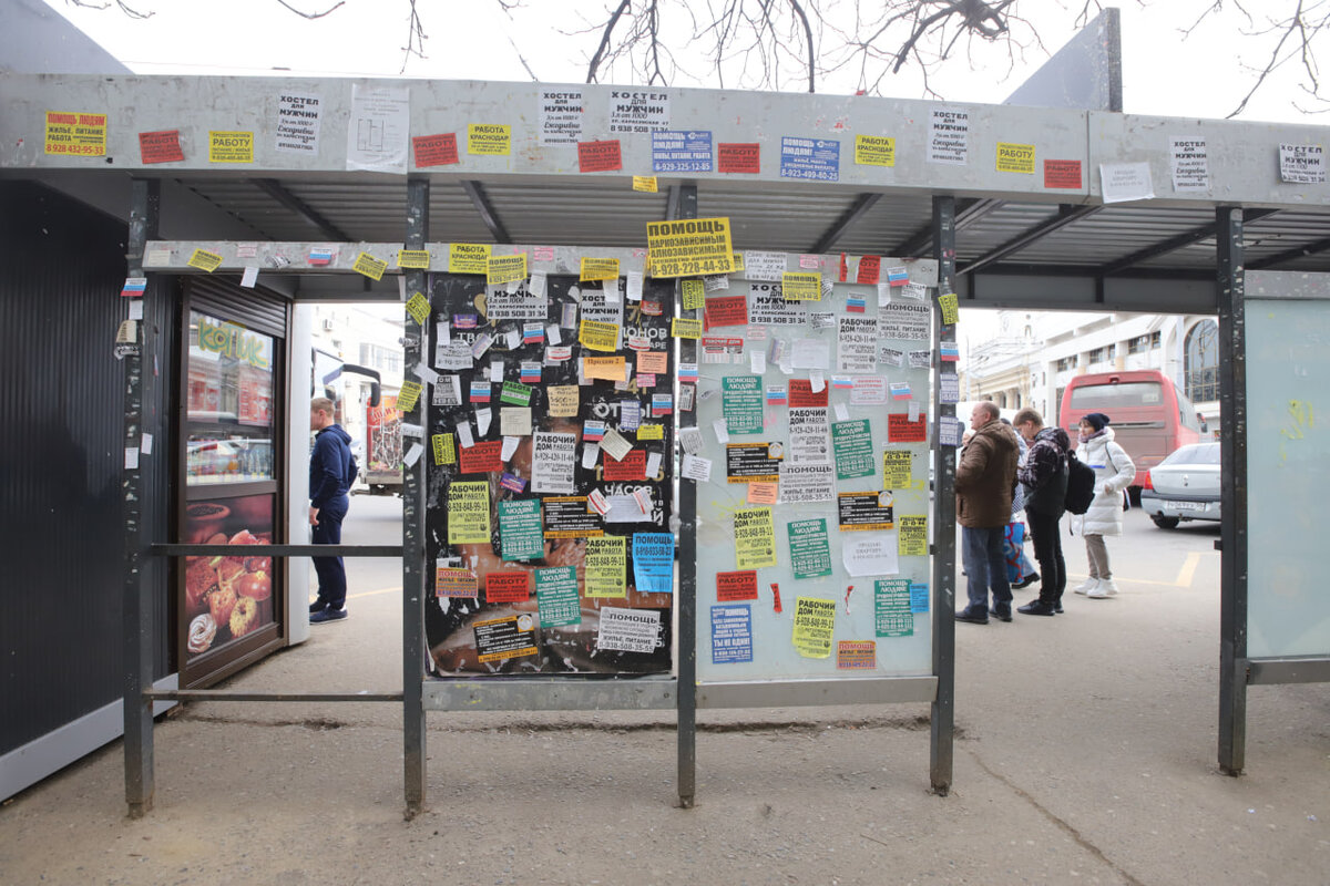 Фото: Денис Яковлев, «Краснодарские известия»