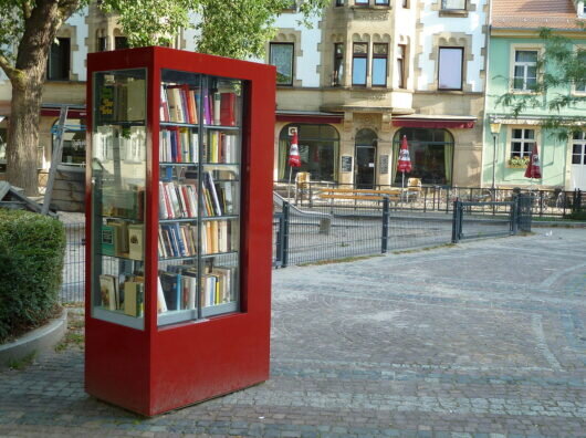    шкаф для буккросинга // фото: capiton-mebel.ru