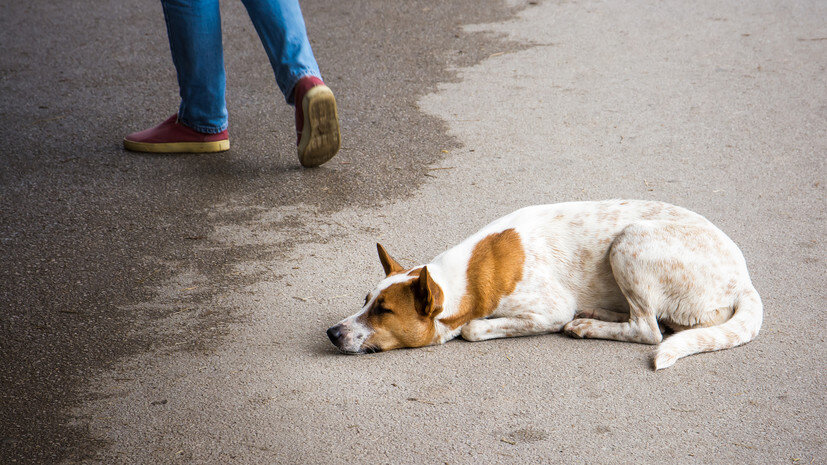   globallookpress.com Konstantin Kokoshkin