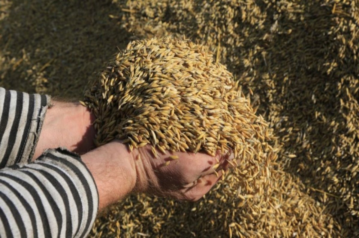    Красноярский край экспортировал за рубеж 316 тысяч тонн сельской продукции