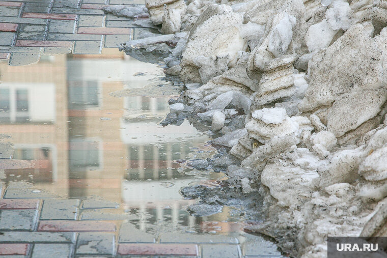    По версии Gismeteo, первые две недели ноября днем в Тюмени будет плюсовая температура