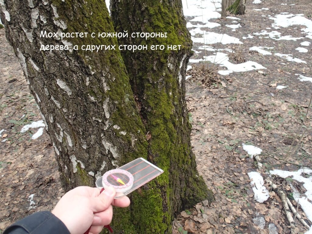 фотка сделана в московском парке, а не в Австралии