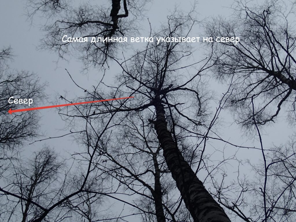 в том же самом московском парке фотографировал