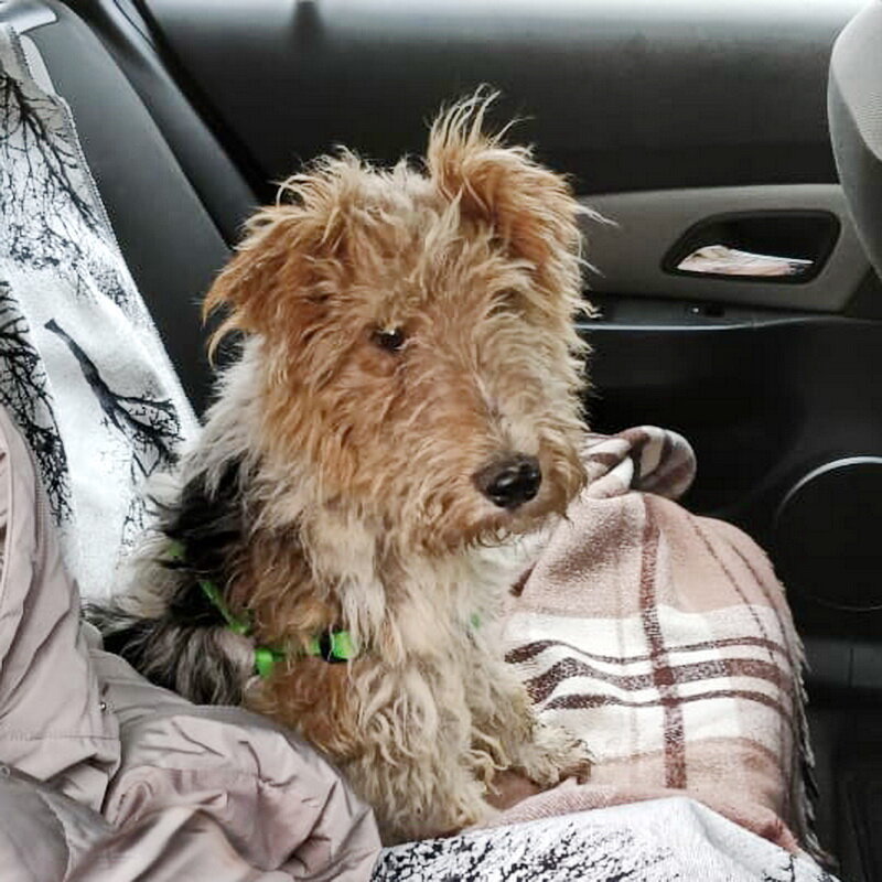 Джек едет домой!