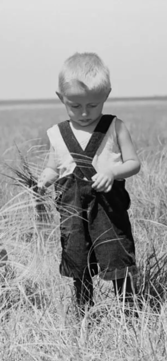 Фото из интернета. Вкус детства… 