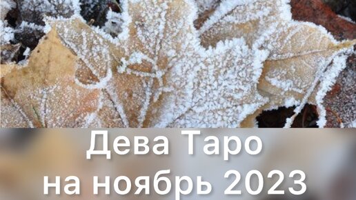 таро гороскоп на ноябрь