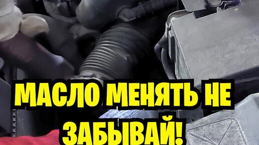 РТС-сервис: ремонт Пежо, Ситроен, Мини | МАСЛО ЗАМЕНИЛ? КРАСАВЧИК! | Дзен