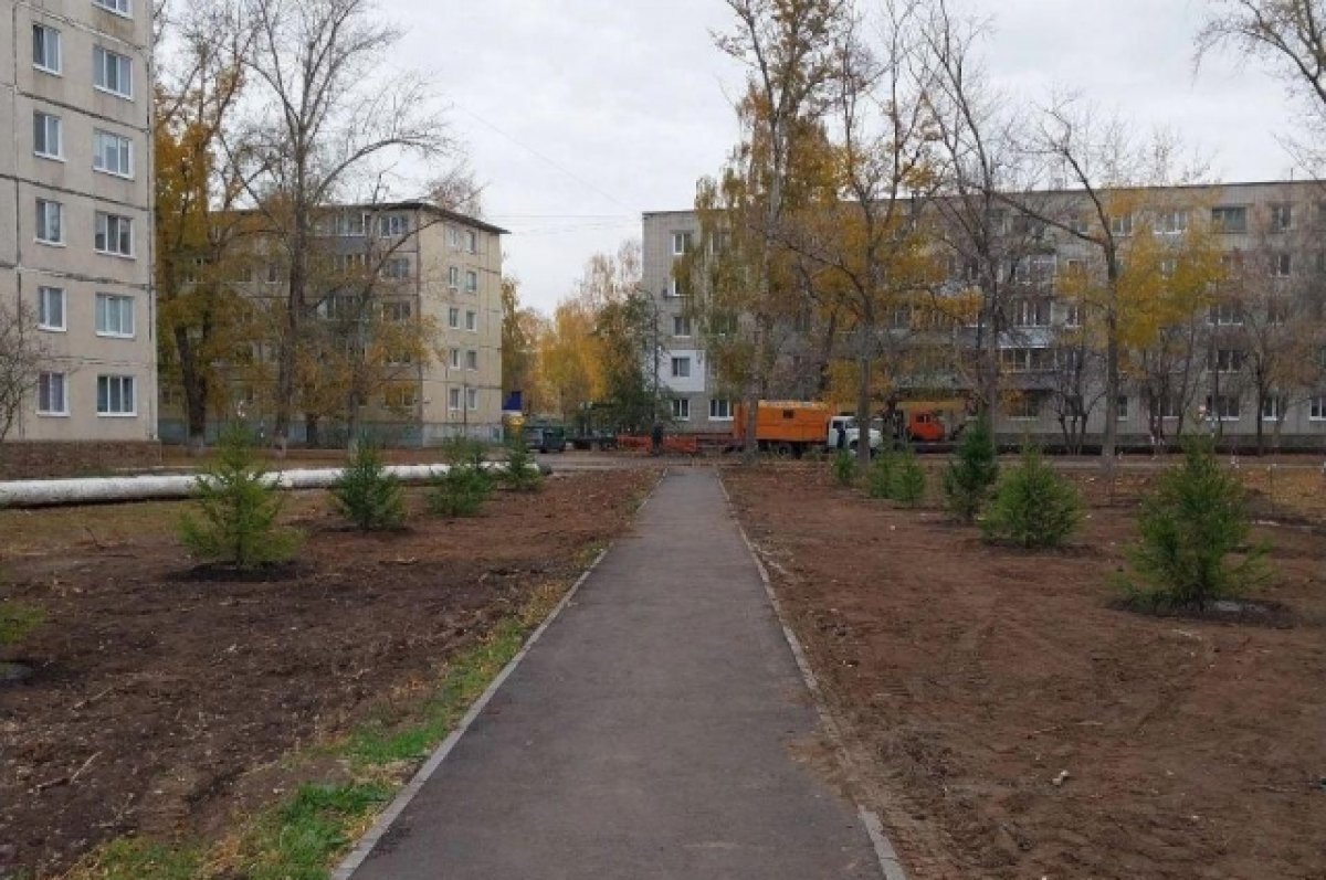    За октябрь в Ульяновске высадили 760 деревьев и кустарников