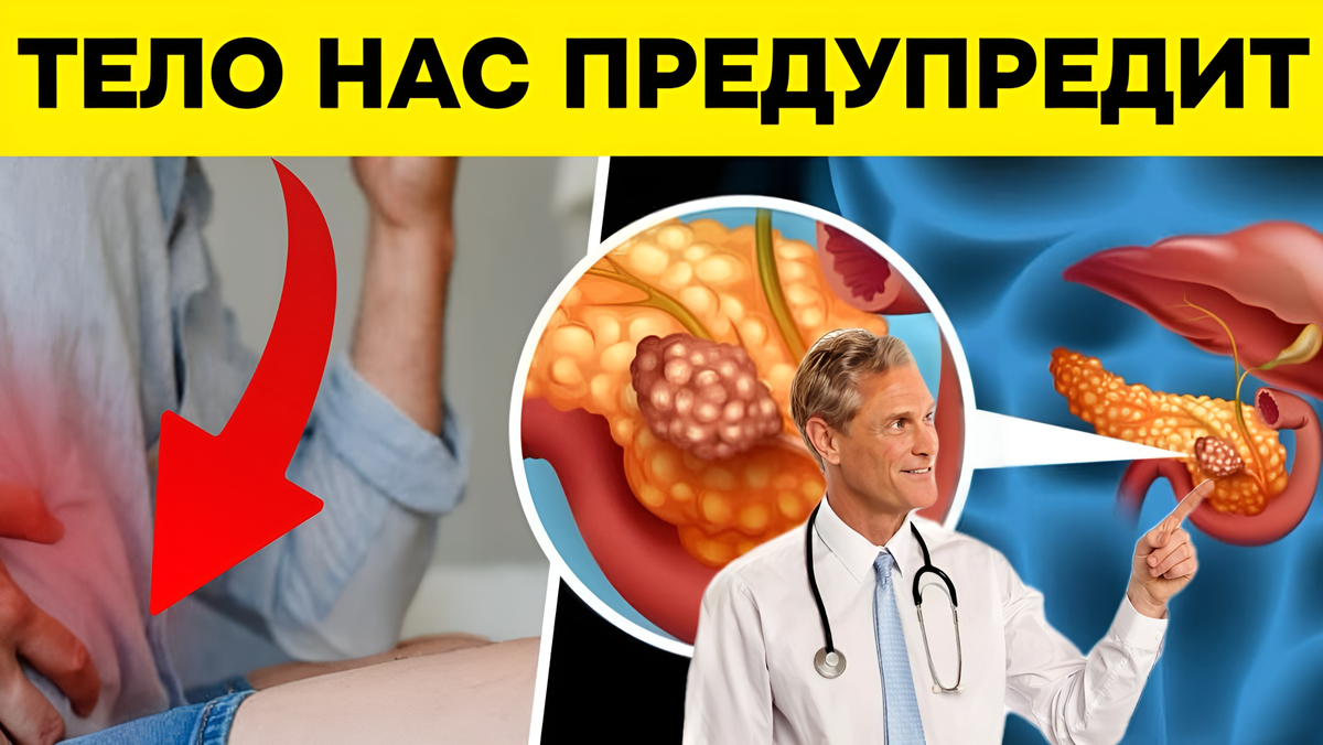 Как тело может предупредить, что поджелудочная в плачевном состоянии? Врачи  поделились своим мнением | Игорь Ботоговский | Дзен