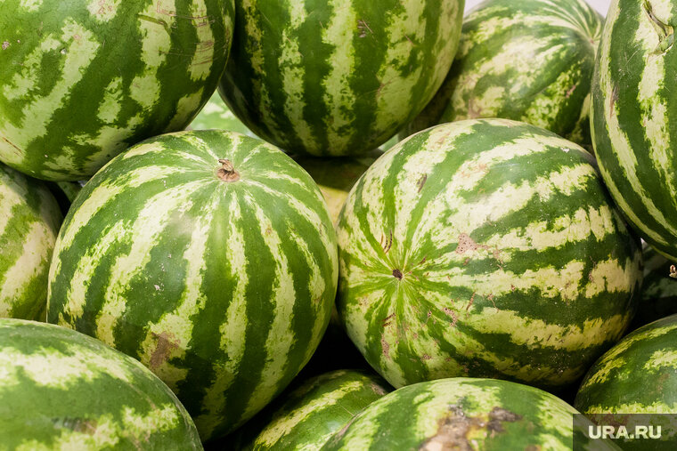    Суд оштрафовал грузчика, который выгрузил арбуз со свастикой в овощном ларьке