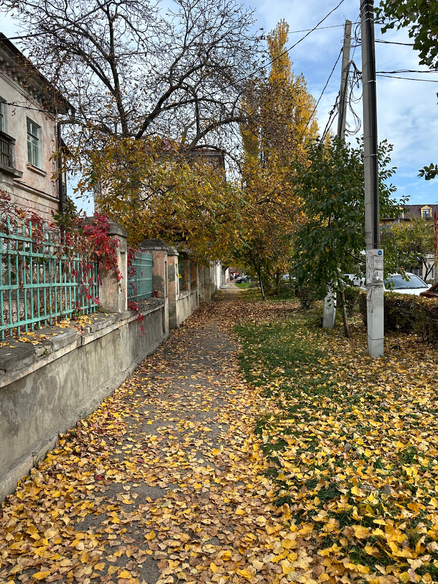 Уютные улицы города в осенних нарядах🍂