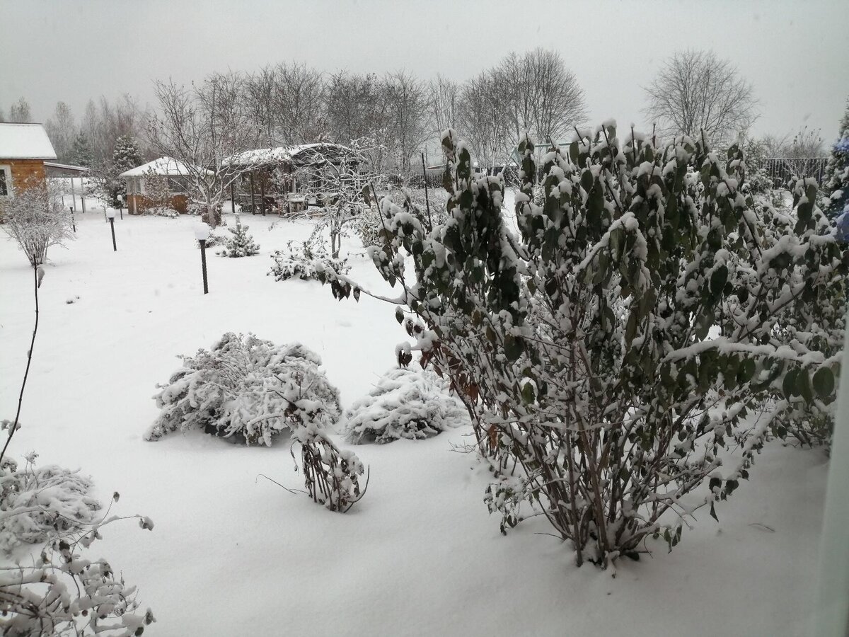 Фото автора. 30.10.23.