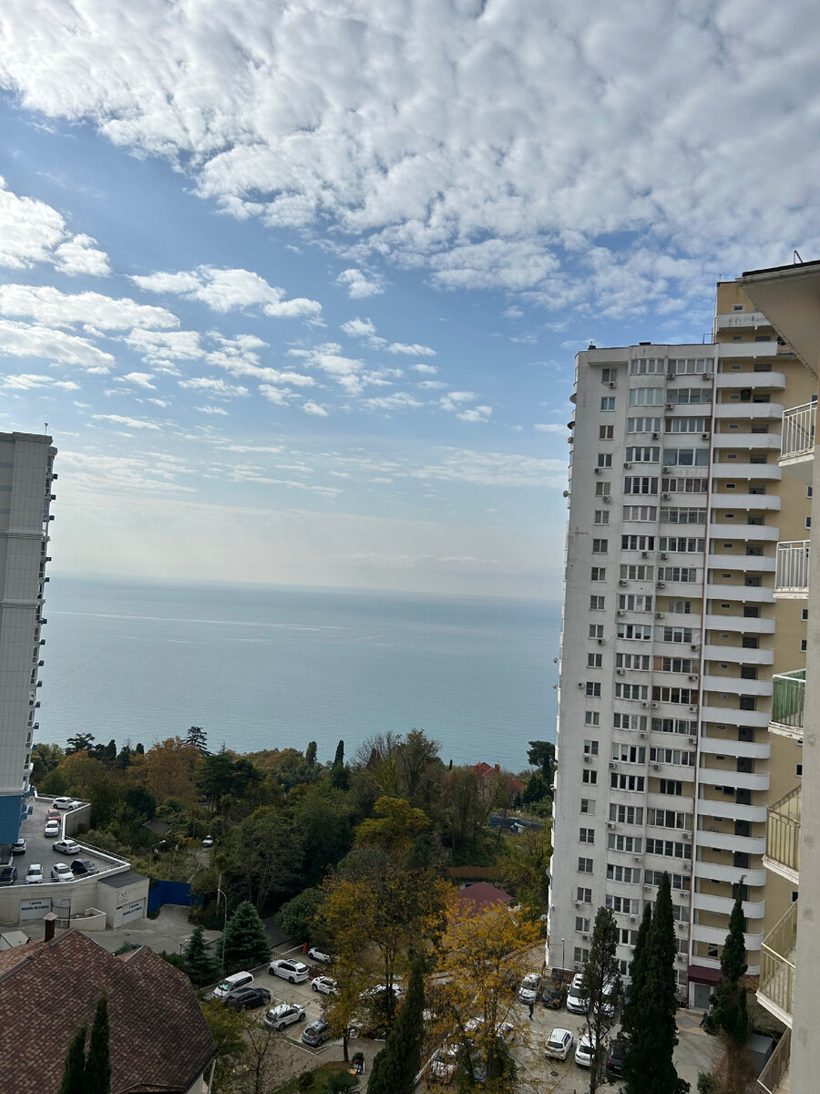 Вид из окна квартиры 