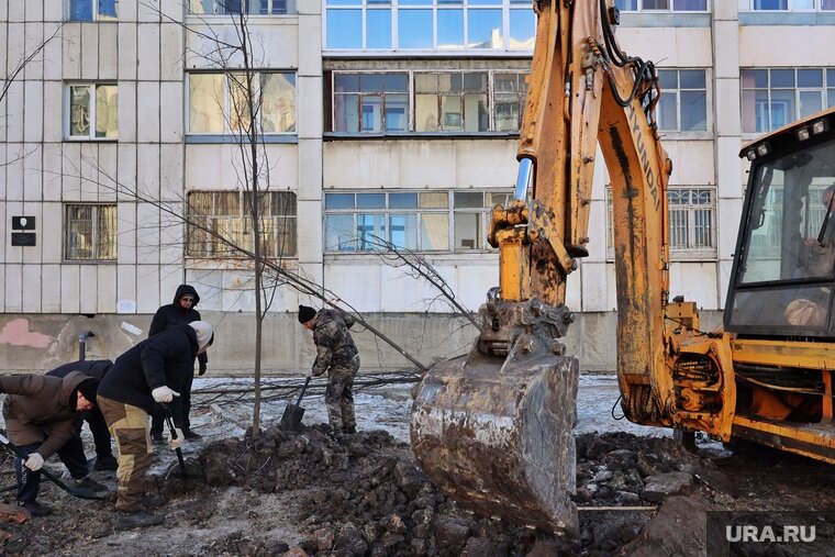    В Кургане снова предпримут попытку высадить деревья в снег, несмотря на предыдущие неудачи (архивное фото)