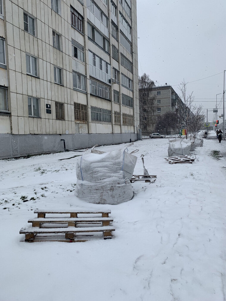    В Кургане третий год пытаются провести высадку деревьев в снег