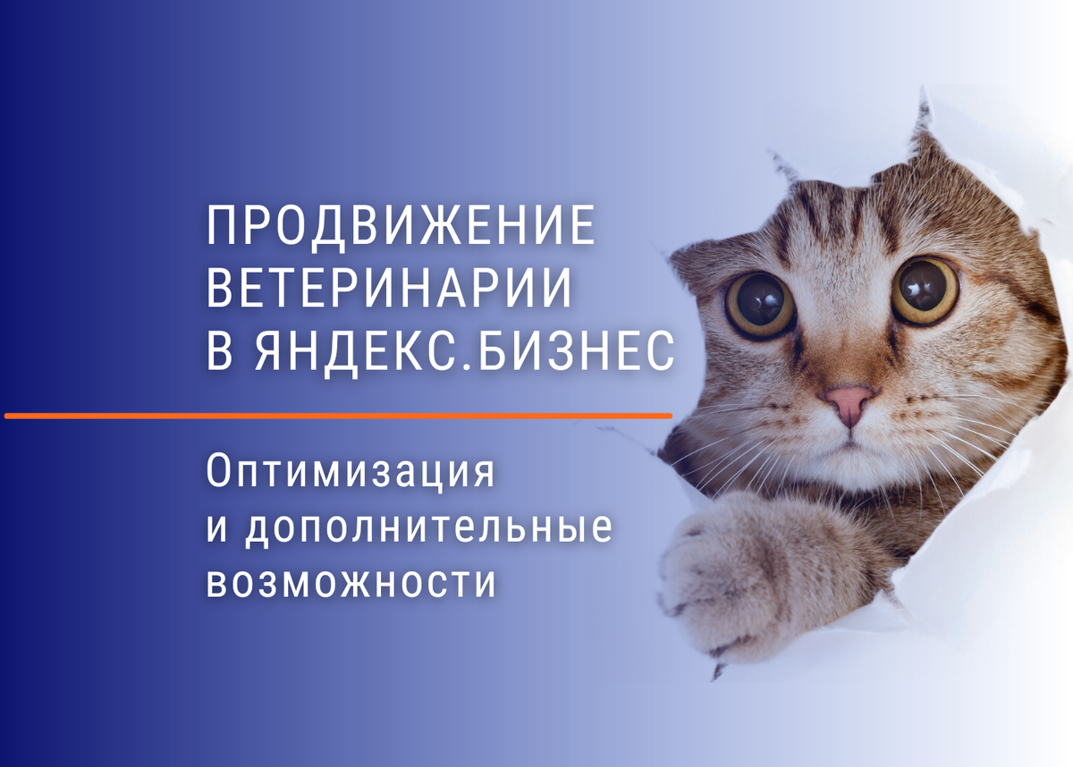 Продвижение ветеринарной клиники в Яндекс.Бизнес | Маркетолог поневоле /  Алексей Паньшин | Дзен