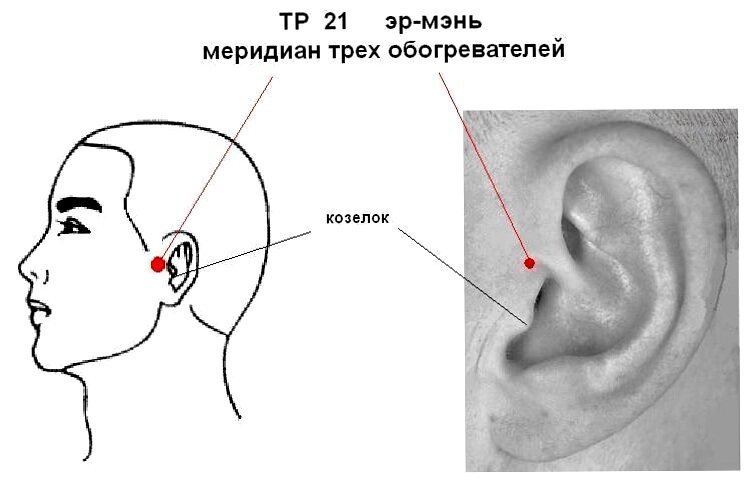 
Привет, друзья!  Сегодня я хочу рассказать вам о замечательной вещице, которая называется "точка Эр мэнь".-2