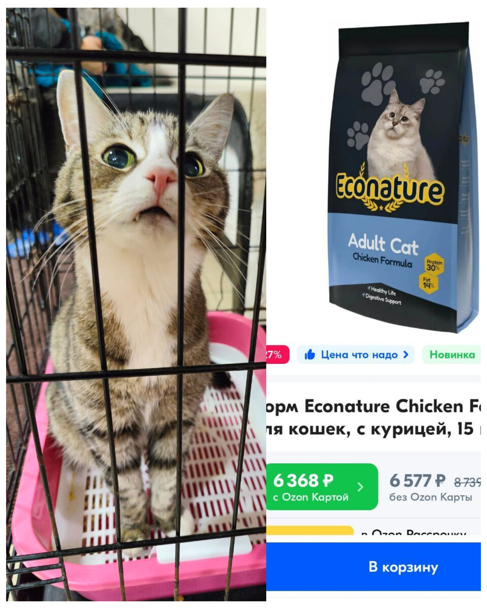 Пикабу animalrescueed