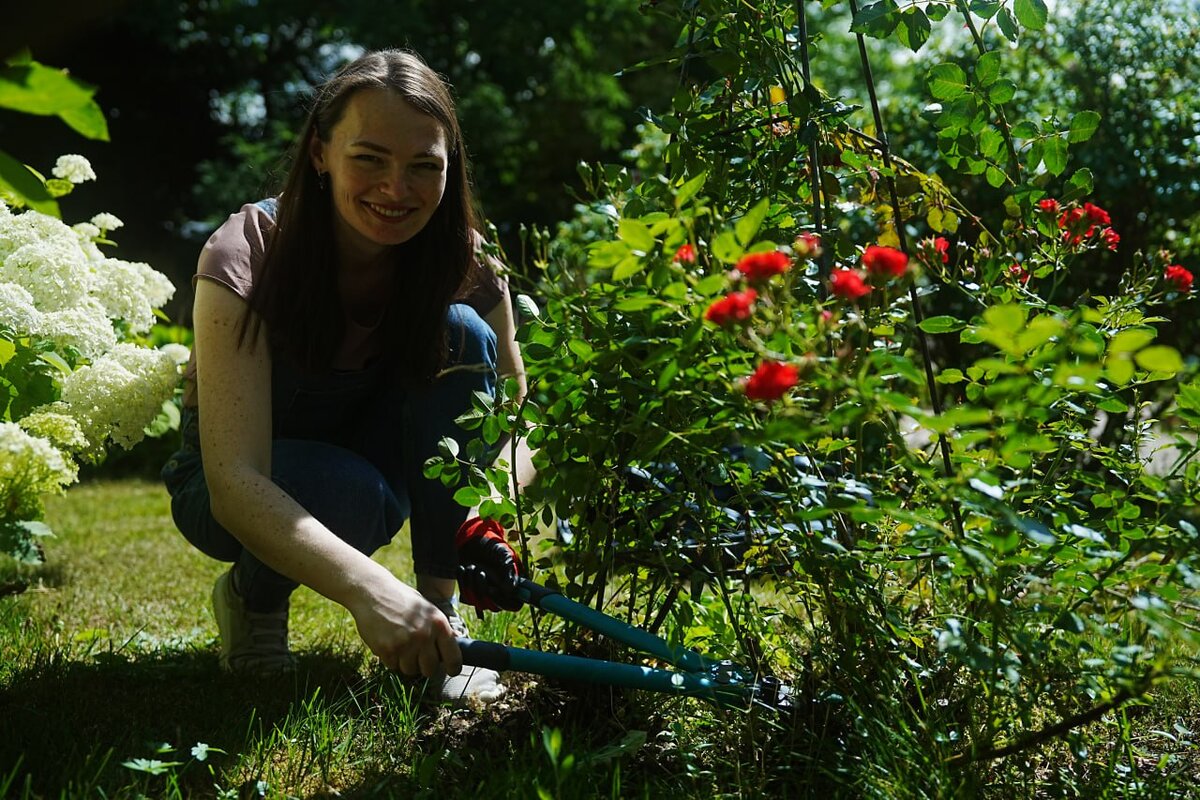 С Дачным агрономом у вас все получится.