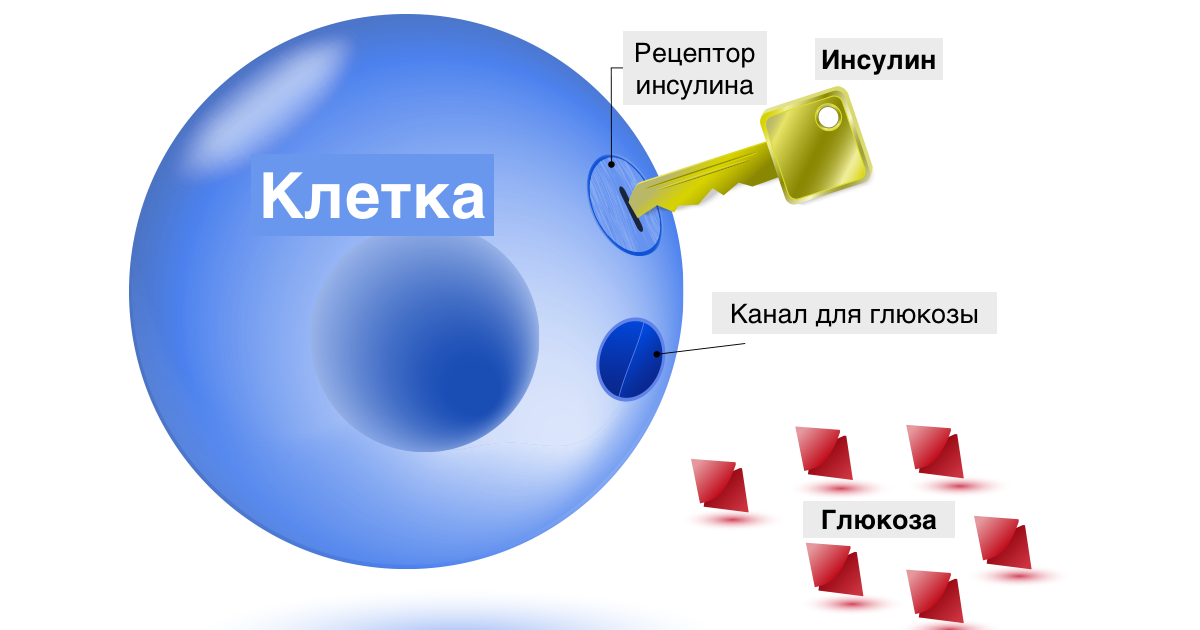 Источник [1].