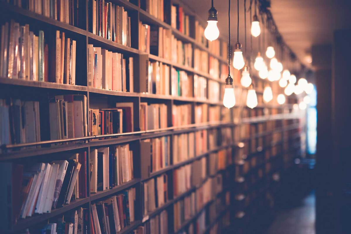    Фото: StockSnap / Shutterstock.com