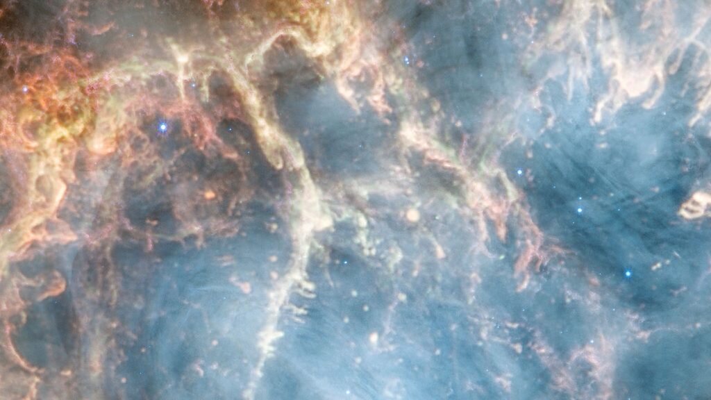    The NASA/ESA/CSA James Webb Space Telescope has gazed at the Crab Nebula in the search for answers about the supernova remnant’s origins. Webb’s NIRCam (Near-Infrared Camera) and MIRI (Mid-Infrared Instrument) have revealed new details in infrared light. Similar to the Hubble optical wavelength image released in 2005, with Webb the remnant appears to consist of a crisp, cage-like structure of fluffy red-orange filaments of gas that trace doubly ionised sulphur (sulphur III). Within the remnant’s interior, yellow-white and green fluffy ridges form large-scale loop-like structures, which represent areas where dust particles reside. The area is composed of translucent, milky material. This material is emitting synchrotron radiation, which is emitted across the electromagnetic spectrum but becomes particularly vibrant thanks to Webb’s sensitivity and spatial resolution. It is generated by particles accelerated to extremely high speeds as they wind around magnetic field lines. The synchrotron radiation can be traced throughout the majority of the Crab Nebula’s interior. Locate the wisps that follow a ripple-like pattern in the middle. In the centre of this ring-like structure is a bright white dot: a rapidly rotating neutron star. Further out from the core, follow the thin white ribbons of the radiation. The curvy wisps are closely grouped together, following different directions that mimic the structure of the pulsar’s magnetic field. Note how certain gas filaments are bluer in colour. These areas contain singly ionised iron (iron II). [Image description: An oval nebula with a complex structure against a black background. On the oval's exterior lie curtains of glowing red and orange fluffy material. Interior to this outer shell lie large-scale loops of mottled filaments of yellow-white and green, studded with clumps and knots. Translucent thin ribbons of smoky white lie within the remnant’s interior, brightest toward its centre.] Александр Шереметьев