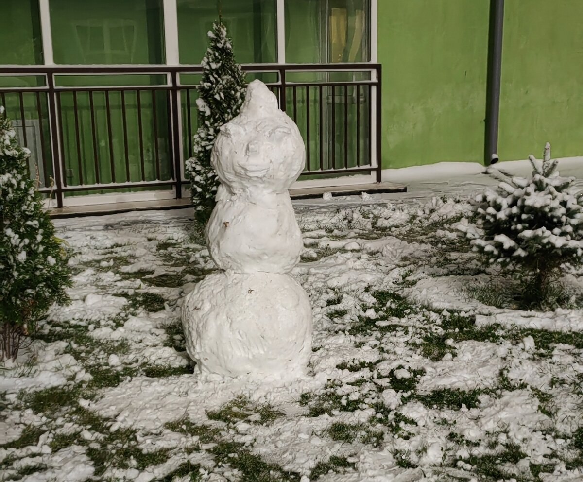 Саратовский суровый снеговик.