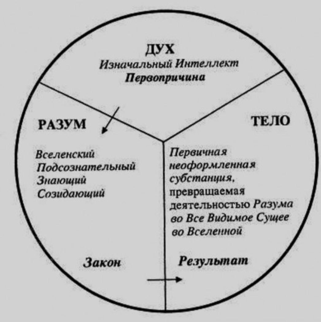 фанфик душа и разум энтерпрайз фото 45