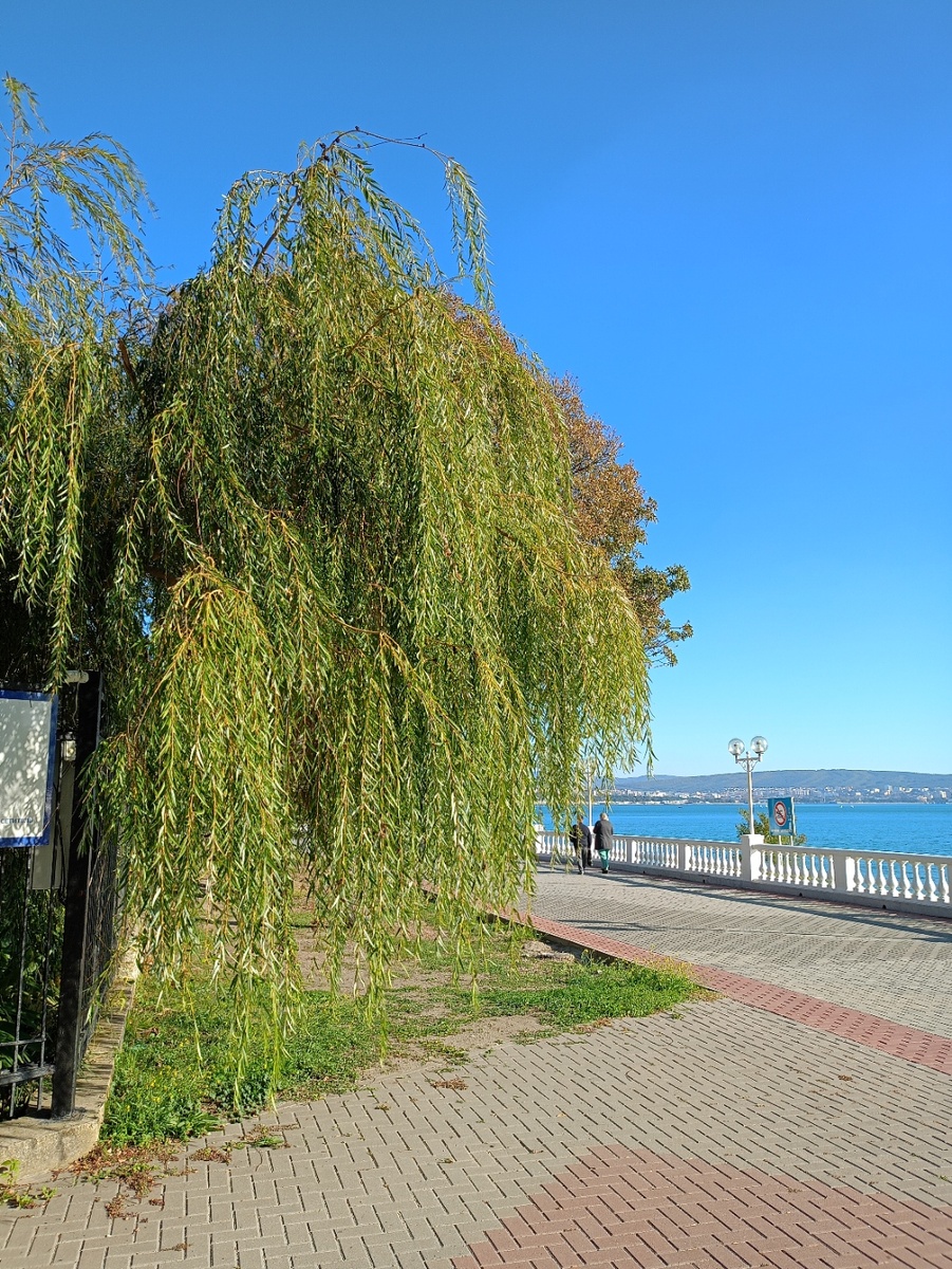 Вход в аквапарк