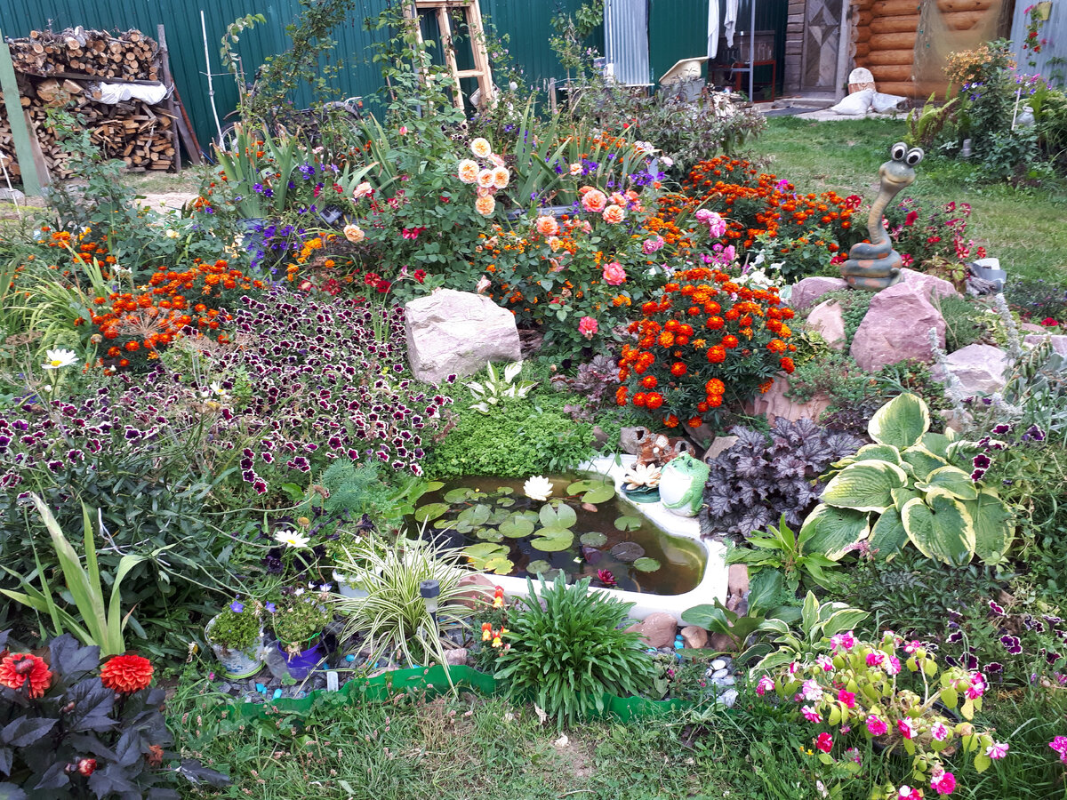 Пример оформления водоема