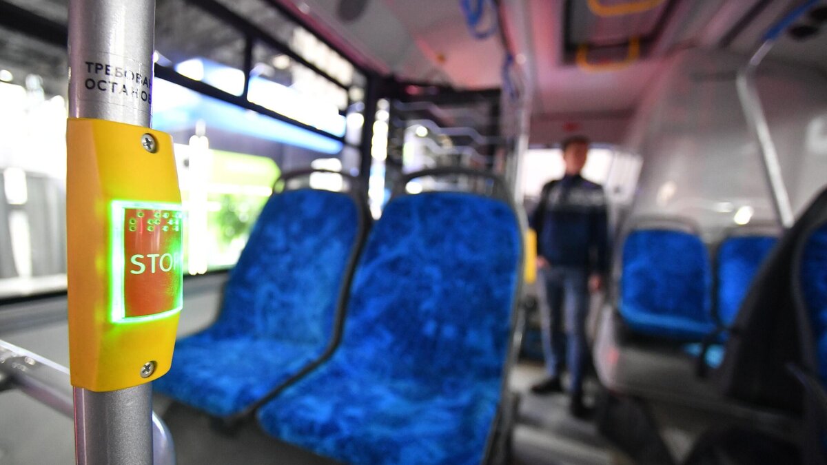    В Екатеринбурге студентка получила ожог в автобусе: все дело в сидениях© РИА Новости | Михаил Воскресенский