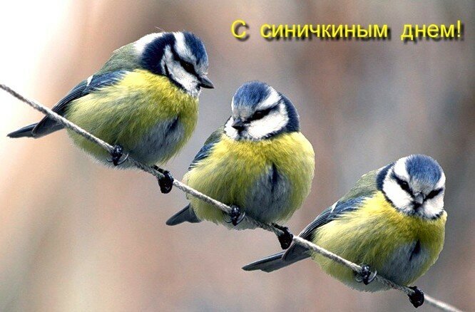 фото из открытых источников